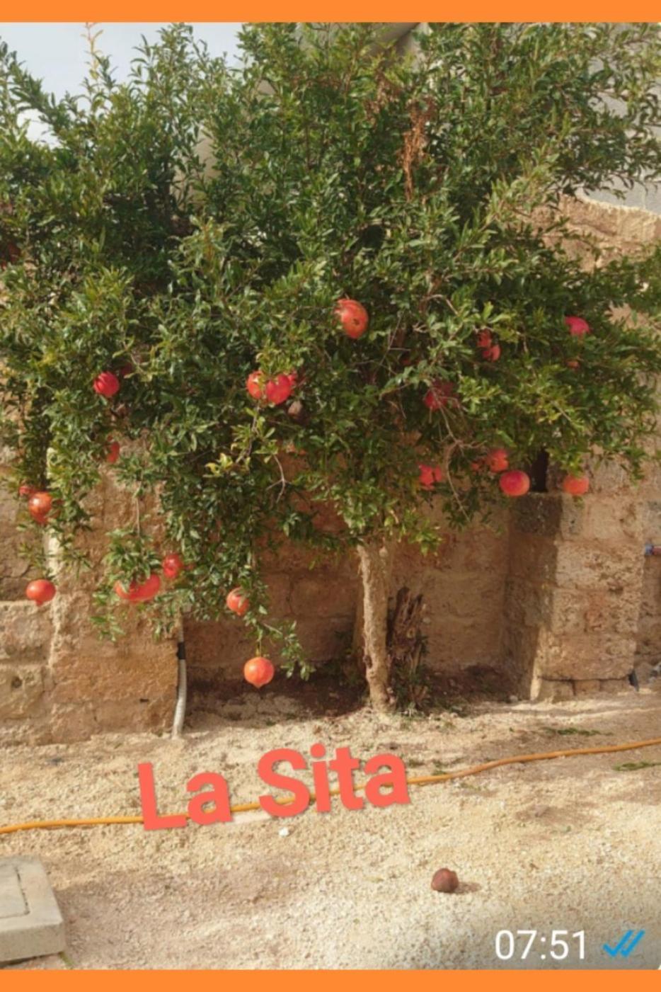 La Sita Apartman Neviano Kültér fotó
